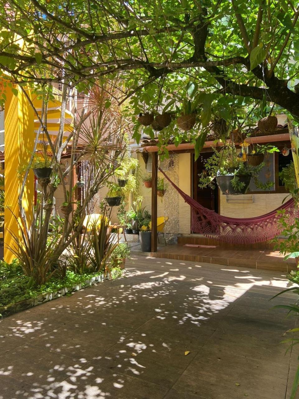 Som Dos Passaros 3* Pôrto das Galinhas